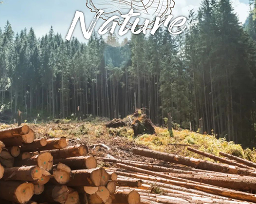 學(xué)會(huì)這些裝修能省不少錢(qián)！